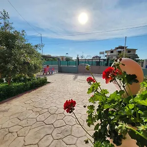 Orange Apartament Wlora